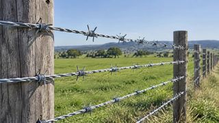 Alambre de púas para el mercado africano | Cable de seguridad anti-ascenso galvanizado en caliente